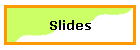 Slides